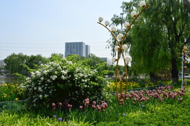 公园风景