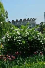 公园风景
