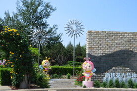公园风景 