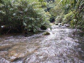 美丽山川河流 小瀑布小溪流