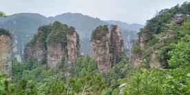 山