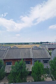 房子麦田