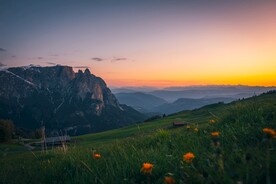 草原夕阳