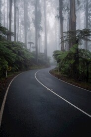 森林公路