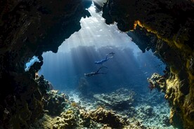 海底世界