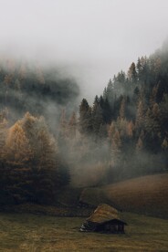 森林中的小屋