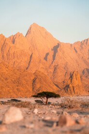 荒山
