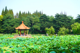 中国园林风景