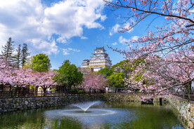 园林风景