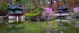 园林风景