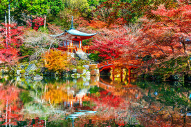 园林风景