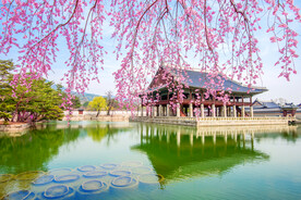 园林风景