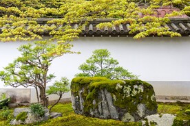 中国园林风景