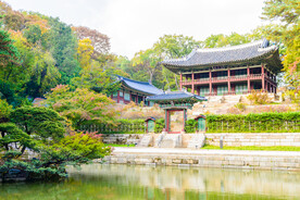 园林风景