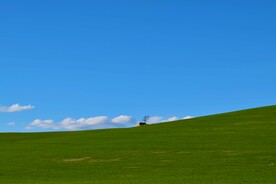 蓝天草地