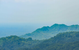 山林风景