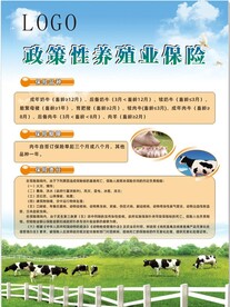 中国人保