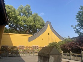 佛顶