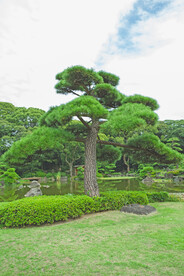公园