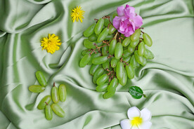 马奶葡萄