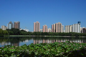公园风景 