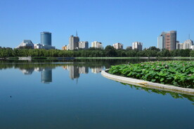 公园风景 