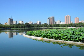 公园风景