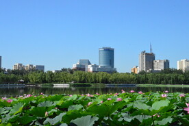 公园风景