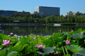 公园风景 