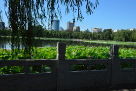 公园风景