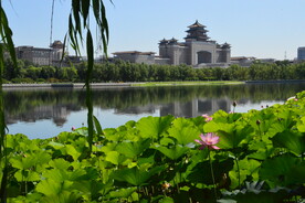 公园风景 
