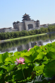 公园风景