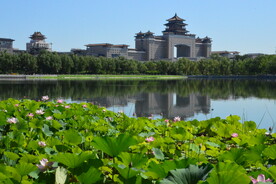 公园风景 
