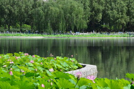 公园风景 