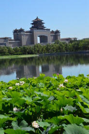 公园风景