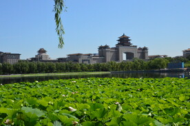 公园风景 