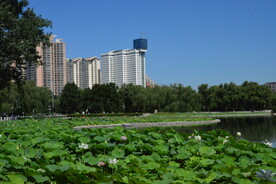公园风景 