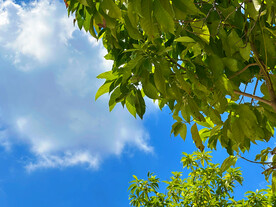 天空