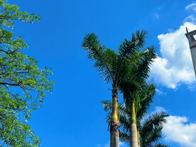 天空