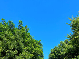 天空