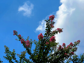 天空