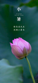 小暑