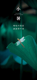 小暑