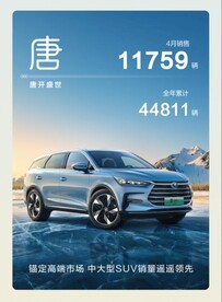 比亚迪  王朝 