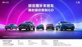 比亚迪  王朝