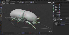 C4D模型 虫子