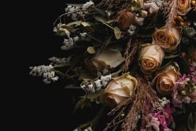 玫瑰花鲜花背景