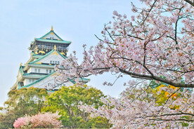 花丛古建