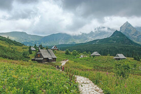 大山之家