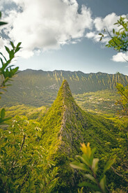 森林山谷